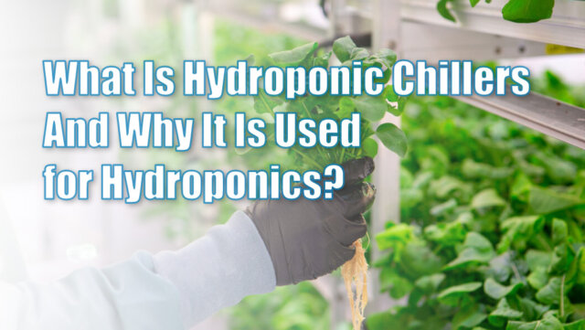 Qu'est-ce que l'hydroponie et pourquoi vous avez besoin d'un refroidisseur